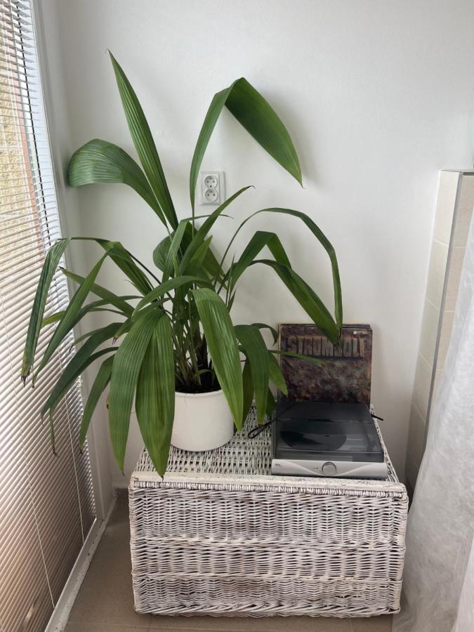 Apartman Michaela Турнов Экстерьер фото